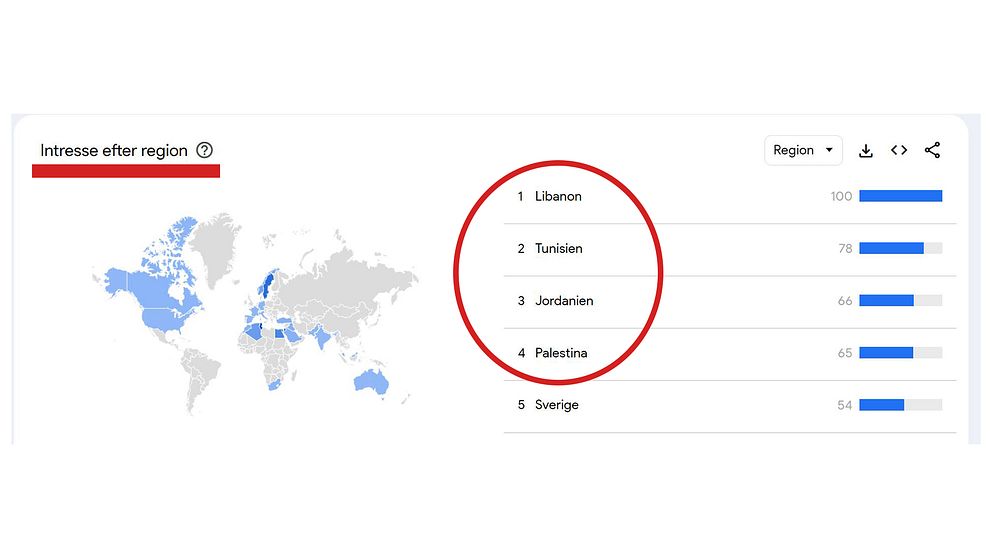Googlesökningar på ”Leve palestina”