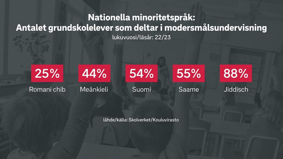 Nationella minoritetsspråk: antalet grundskoleelever som deltar i modersmålsundervisning