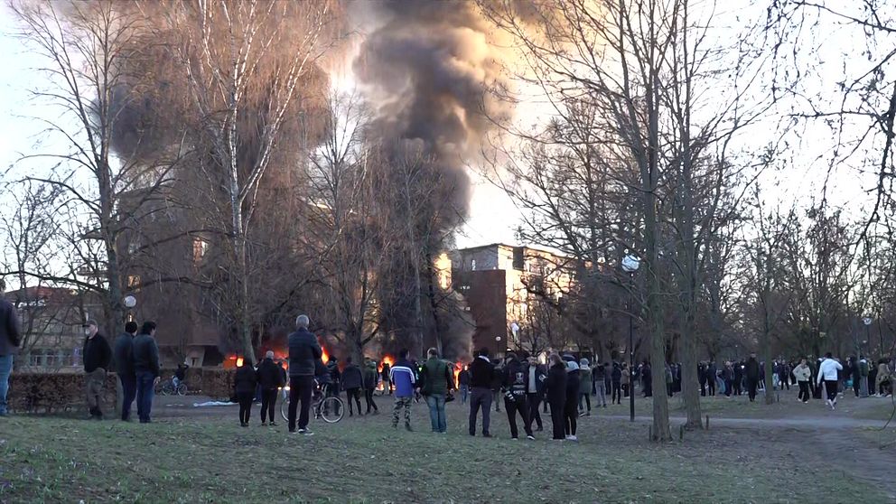 En grupp människor samlas utomhus nära stora brandrökpelare bland träd i en park.