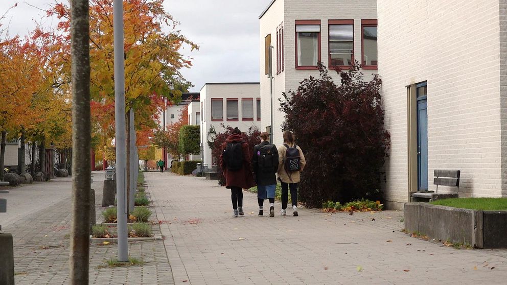 Tre personer går på höstligt universitetsområde, omgivna av färgglada träd och vita hus.
