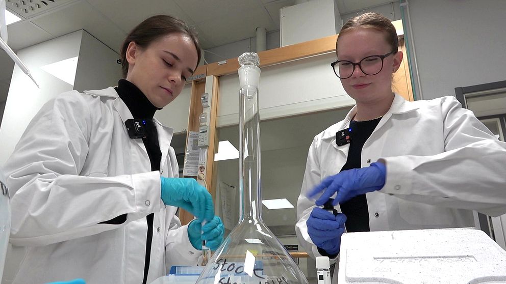 Två forskarstudenter står med prover i ett laboratorium.