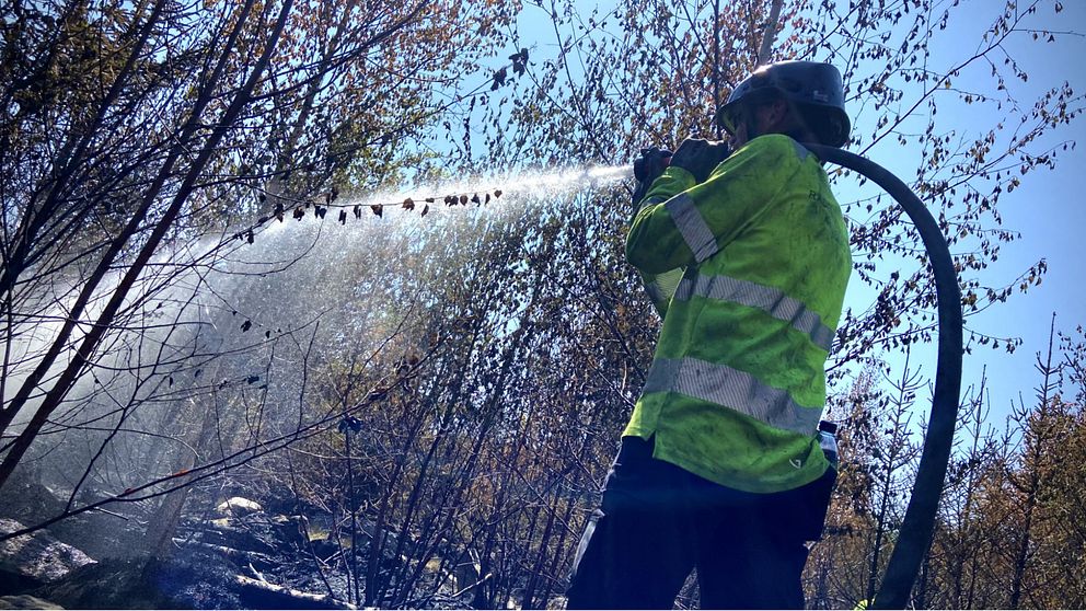 Brandman bekämpar skogsbrand