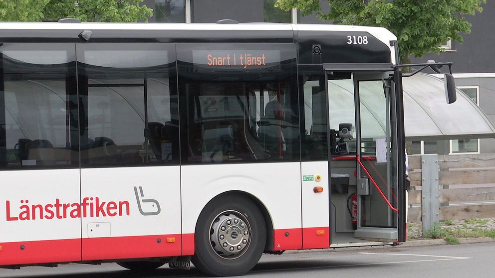 Buss