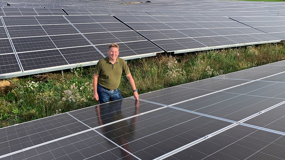 En person står bland solpaneler på en stor solenergianläggning, omgiven av gröna områden och träd i bakgrunden. Panelerna sträcker sig över ett vidsträckt fält under en klar himmel.