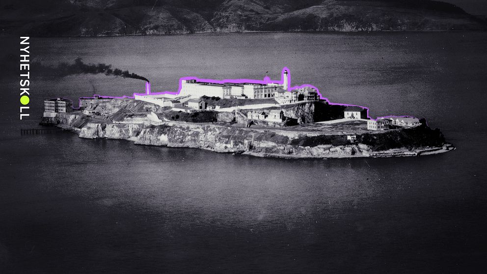 Svartvit vy över fängelseön Alcatraz med lila markering runt byggnaderna.