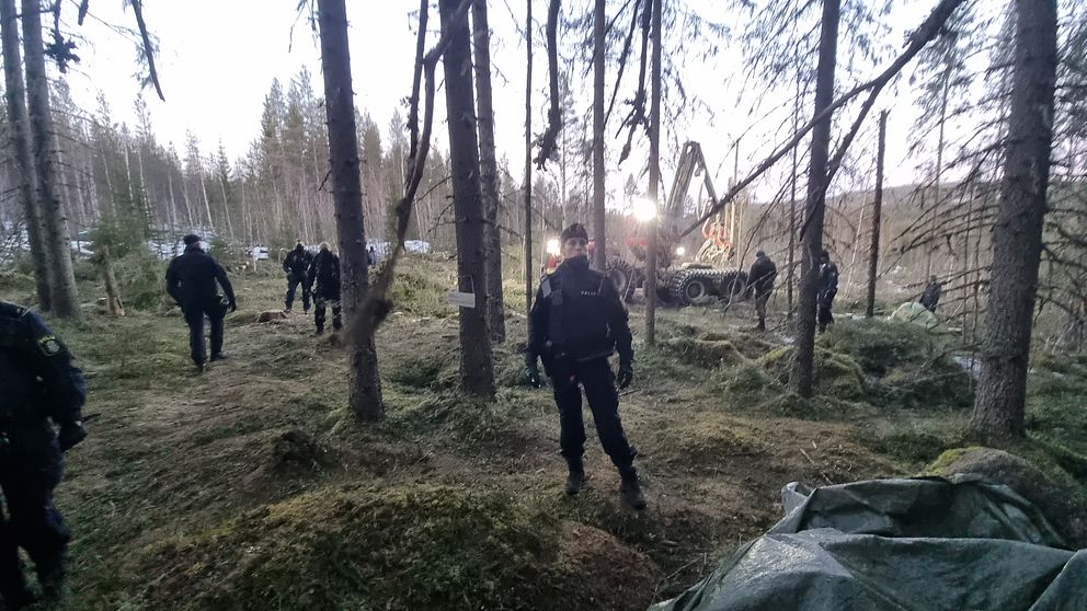 Poliser rör sig genom en skog.