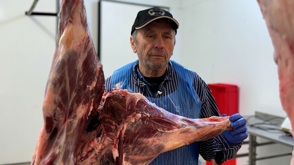 Jägaren och slaktaren Arne Olsson är kritisk till nya regler gällande vildsvinskött. Han står på bilden vid ett vildsvinskropp.