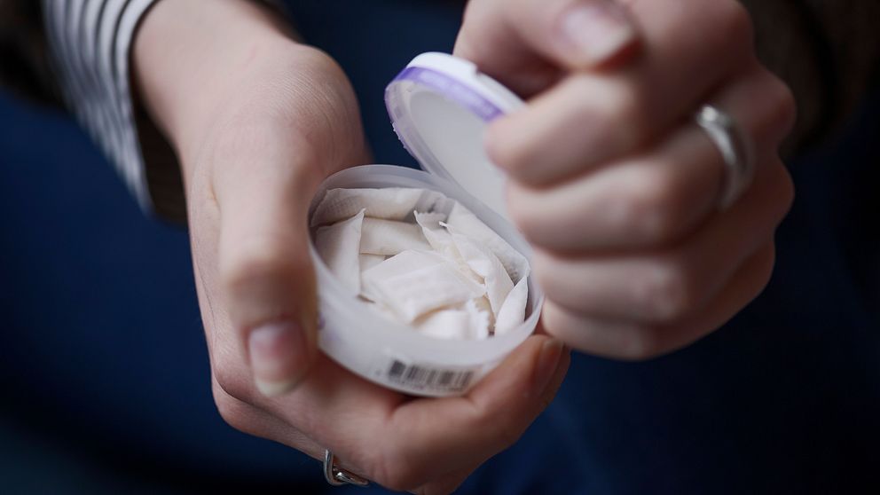 Hand håller en snusdosa fylld med vitt snus.