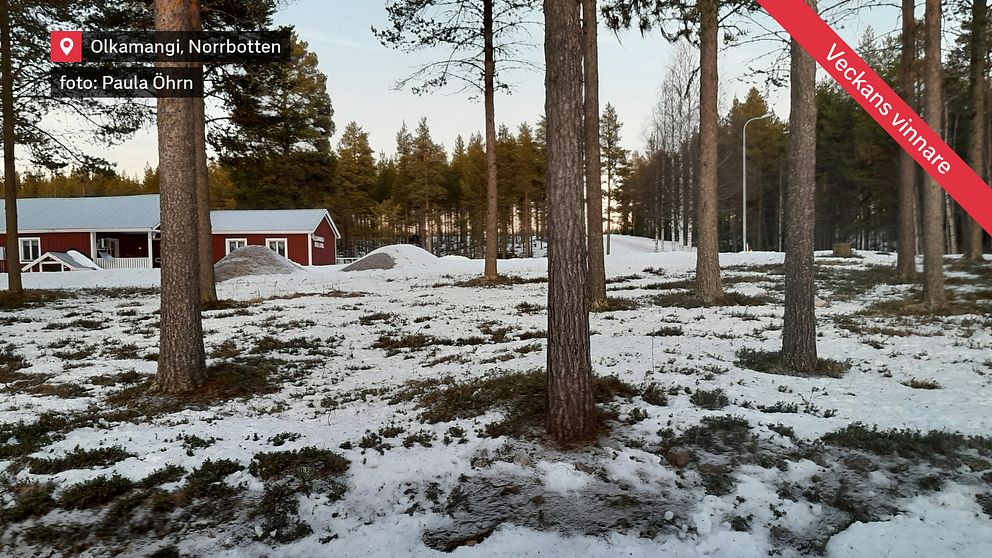 Vinnare av väderbild vecka 4