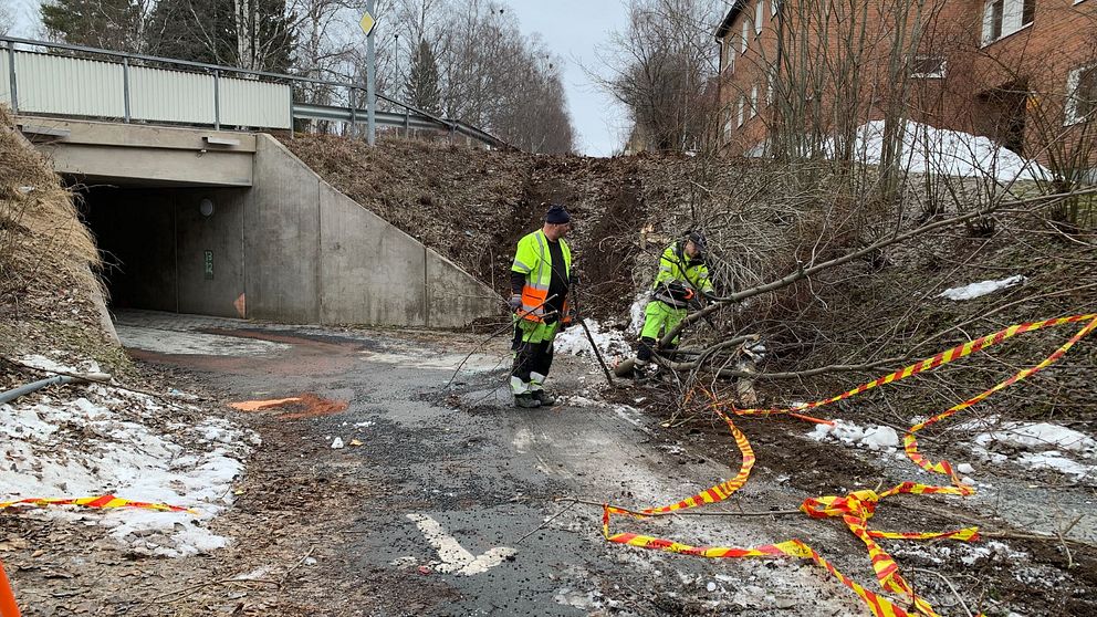 Män i varselkläder arbetar med att såga ner träd efter en bussolycka