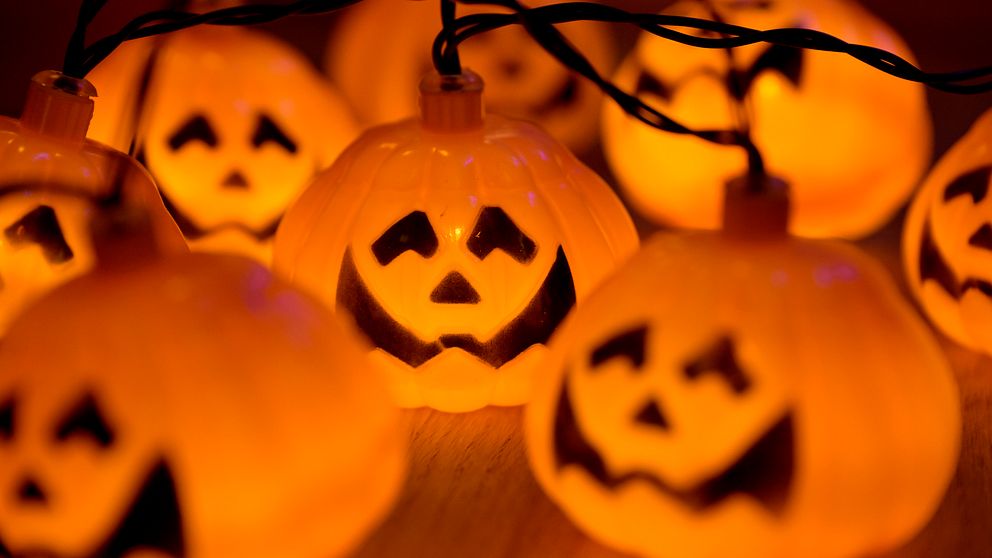 Ljusdekorationer i form av små, plastepumpor med ansikten, som lyser i orange och skapar en festlig atmosfär inför Halloween.
