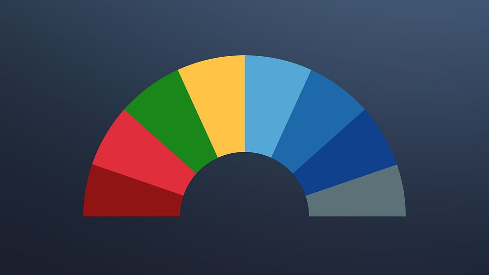 Tårtbitar som symboliserar partigrupperna i EU-parlamentet.