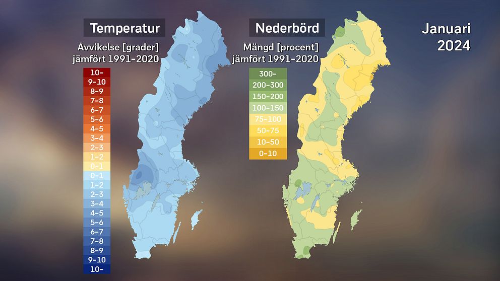 Till vänster månadens medeltemperatur jämfört med referensperioden 1991–2020 och till höger månadens nederbördsmängd i procent jämfört med samma period. Källor: SMHI och StormGeo.