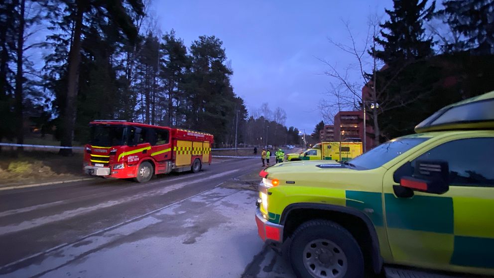 Polisinsats i Gävle