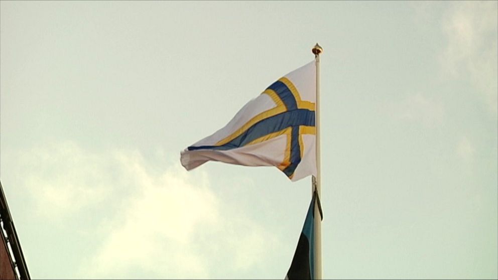 Den sverigefinska flaggan