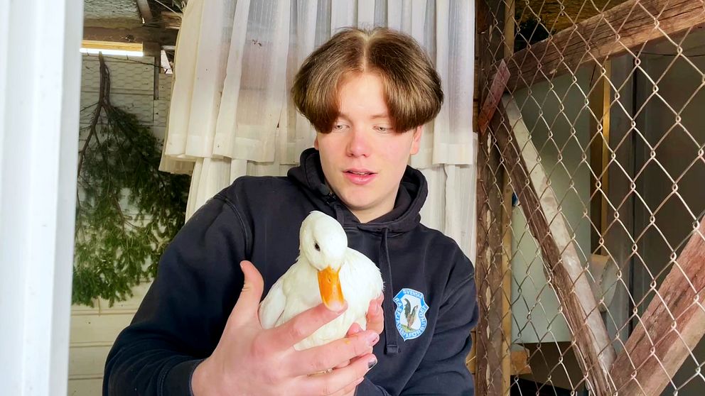 En ung kille som håller i en anka.