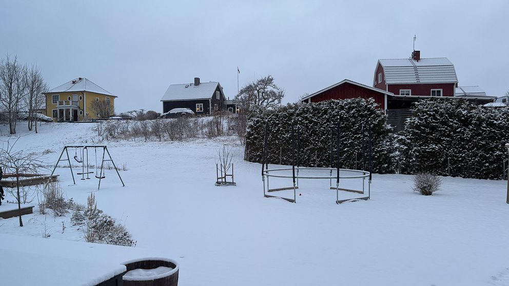 Snötäckt trädgård med gungställning, träd och tre hus i bakgrunden.