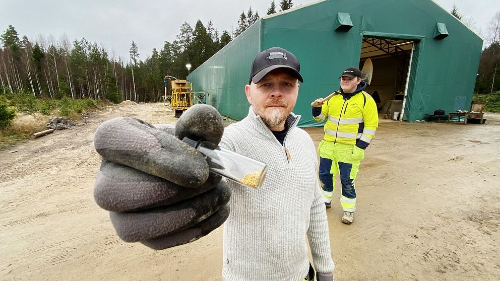 Daniel Reinsjö håller upp lite av det guld som hans team lyckats hitta. På det gamla gruvområdet har han låtit bygga en stor, grön tälthall.