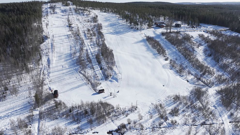 Snötäckt skidbacke omgiven av skog, med flera preparerade nedfarter.