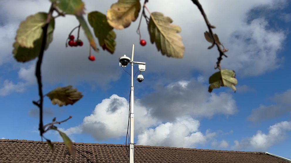 En närbild av en växt med röda bär i förgrunden, medan en övervakningskamera är synlig på en stolpe i bakgrunden. Himlen är blå med vita moln och taket på en byggnad syns i nederkant av bilden. Övervakningskameran sattes upp i Kollaområdet i Kungsbacka efter att polisen hittat explosivt föremål vid en fastighet.