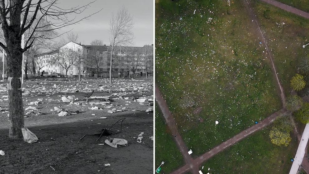 ekoparken förra året och nu bredvid varandra