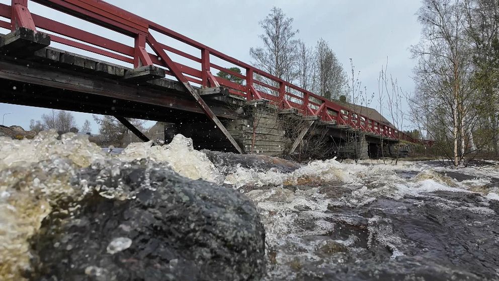 Röd gångbro i trä i Bureå och forsande vattenmassor.