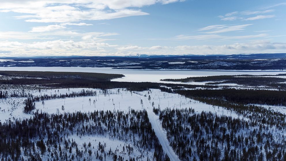 Gallók/Kallak