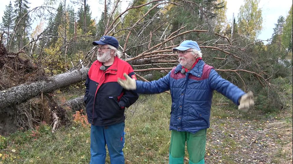 många skogsägare som väntar på att få hjälp med sin stormfällda skog., bland annat Jerry Lundgren och Stefan Stenberg.