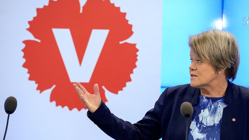 Ulla Andersson, Vänsterpartiets ekonomisk-politiska talesperson