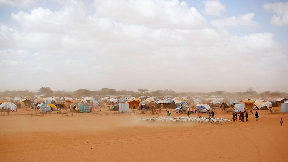 Flyktinglägret Dadaab i Kenya.
