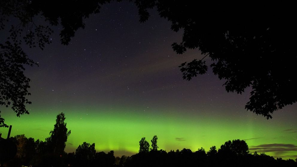 Nattpigga länsbor kunde beskåda ett sprakande fenomen. På flera håll lystes natthimlen upp av norrsken, bland annat i Uppsala och Enköping.