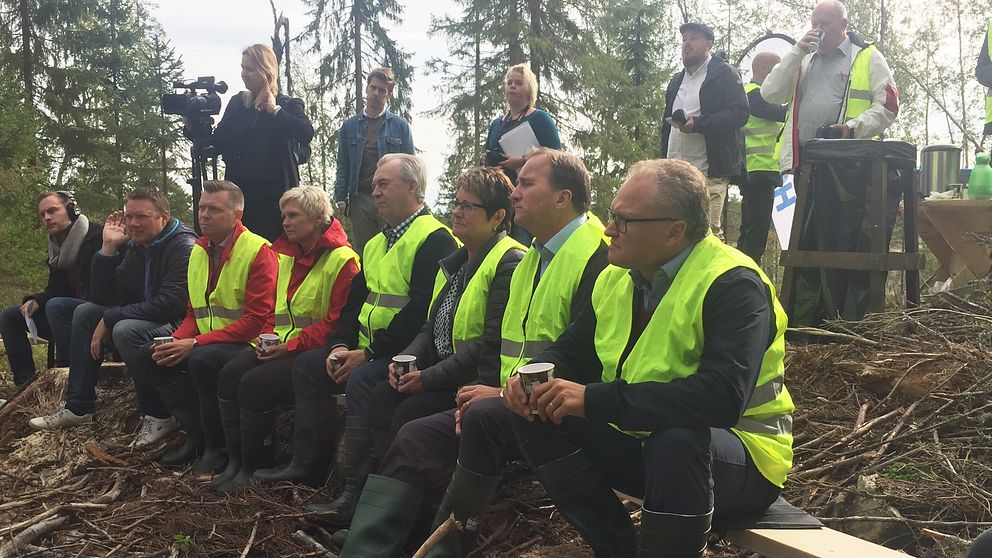 Stefan Löfven, Glenn Nordlund, Sven-Erik Bucht med flera sitter på en träbänk i skogen och lyssnar på ett föredrag om skogsbruket i Holmens skog i Gideå.