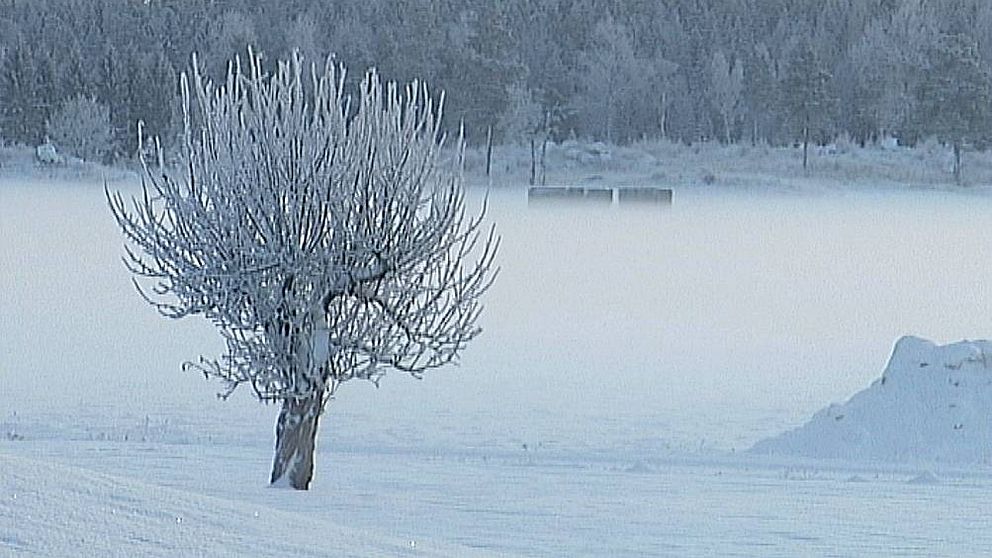 Härads skjutfält Strängnäs