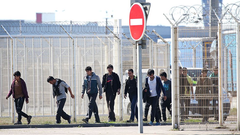 Migranter i Calais