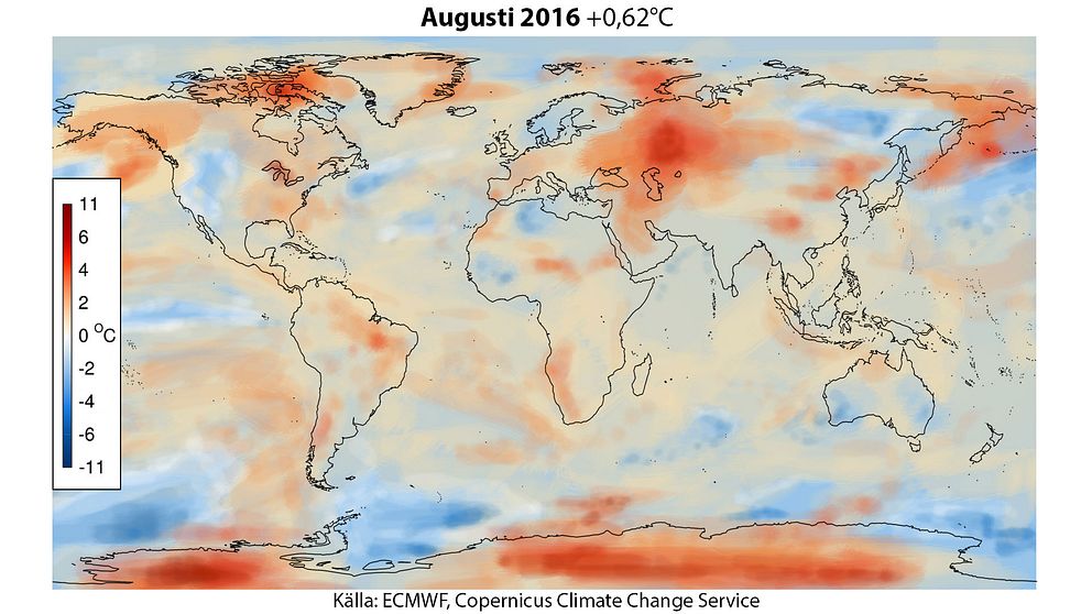 Extremvärme globalt sett i augusti.
