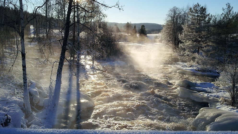 Tittarnas vinterbilder | SVT Nyheter