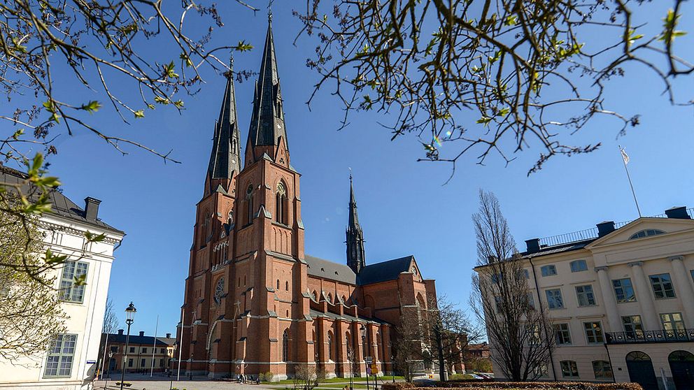 Uppsala domkyrka, domkyrka i ärkestiftet.