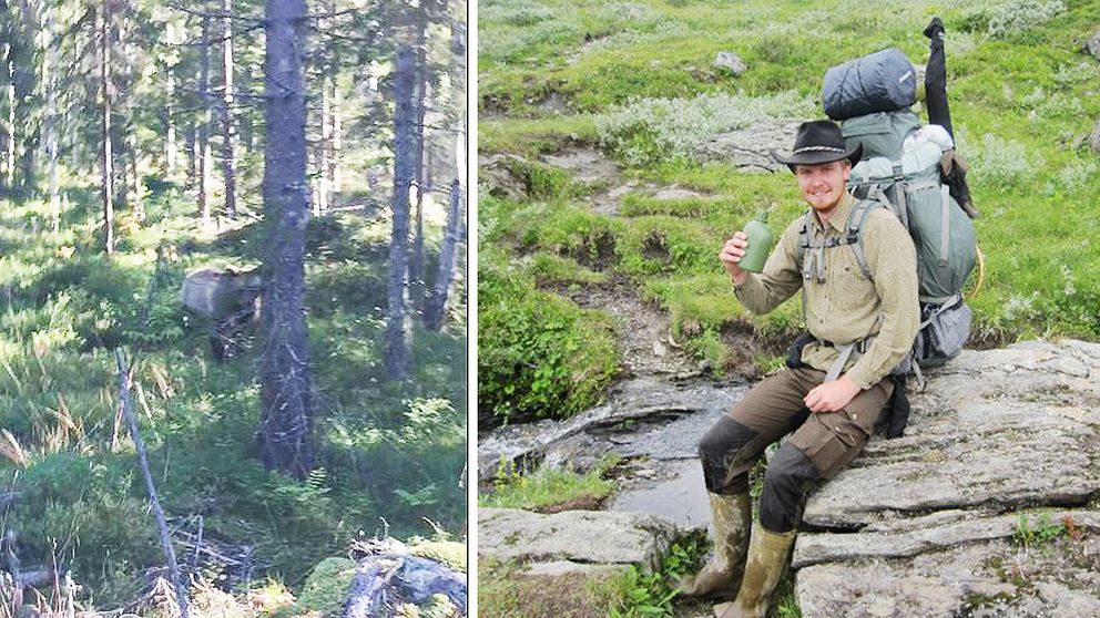 Andreas Sånglöf fick närkontakt med en björn under älgjakten i Västernorrland