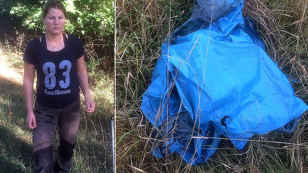 Till vänster Anna Edbom vid stängslet till sin hage. Till höger en blå plastpåse liggandes i gräset.
