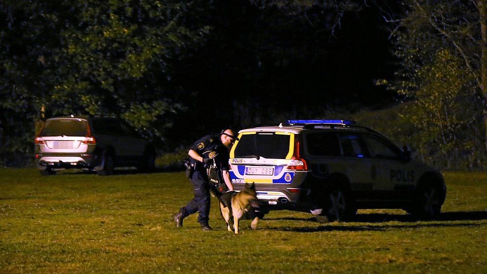 Polis jagar rånare