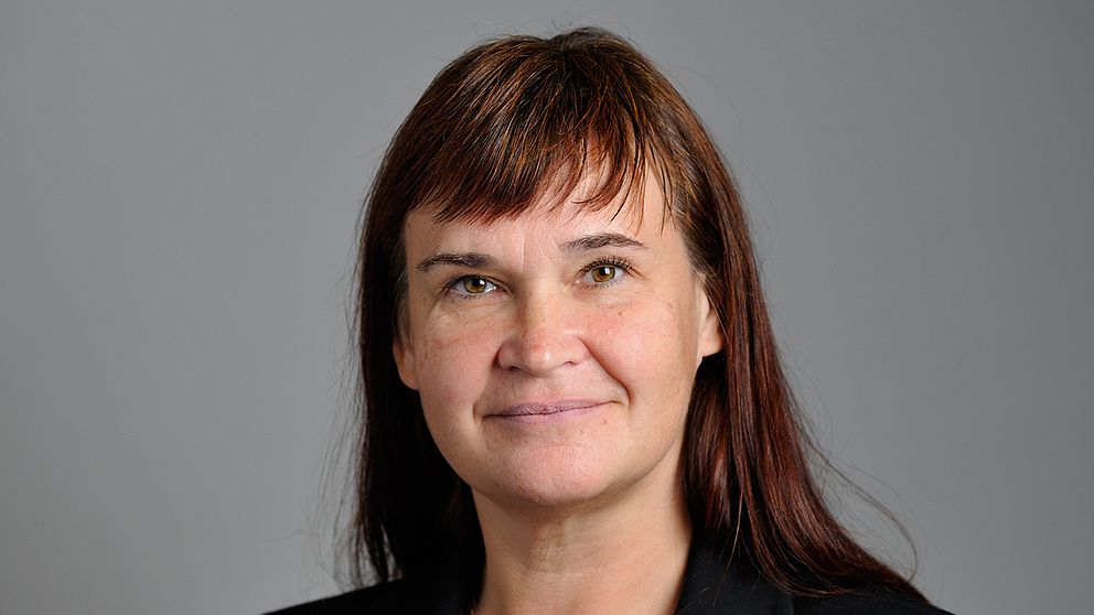 En av kritikerna är Miljöpartiets riksdagsledamot Annika Lillemets.