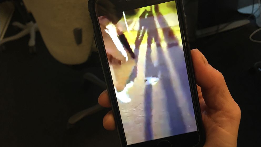 Bild på en telefon som visar den video där en mås dödad av en skolelev