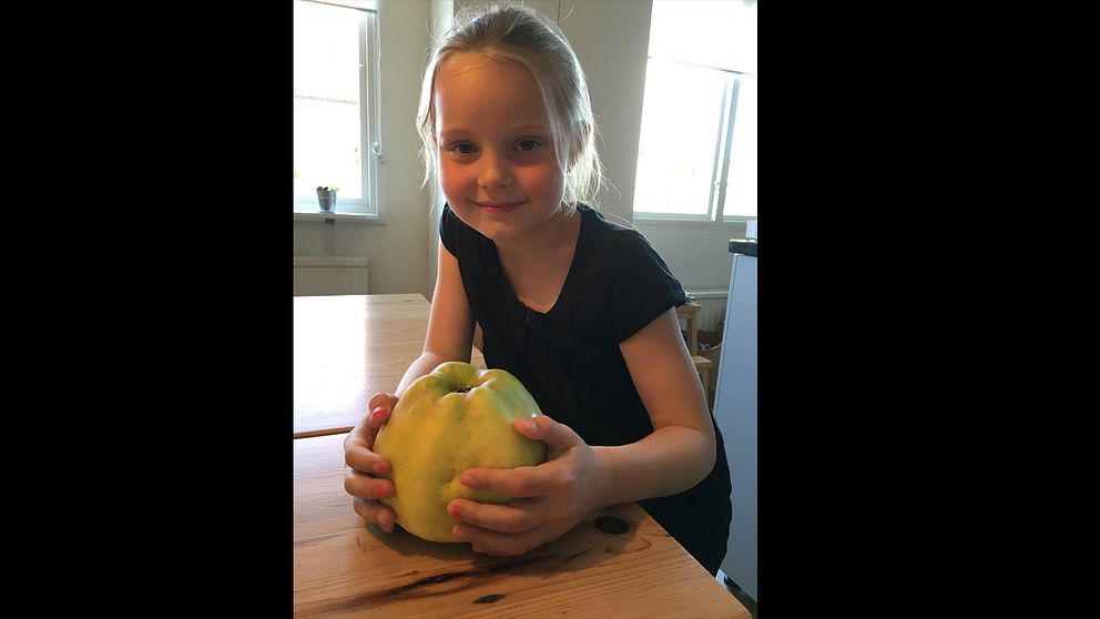 Ingrids dotterdotter Moa Sjöblom med Sveriges största äpple mellan händerna.