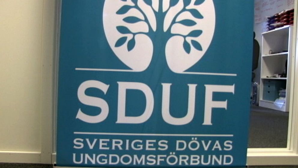 SDUF:s styrelse fick ansvarsfrihet