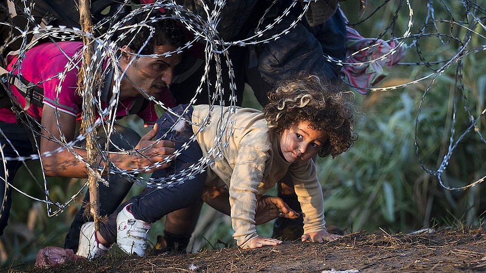 Ett barn kryper under stängslet mellan Serbien och Ungern.