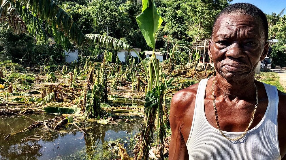 Bananodlaren Pierre Claude på Haiti förlorade allt.