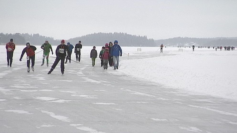 Den 10 februari avgjordes det årliga skridskoloppet Vikingarännet mellan Uppsala och Stockholm i gråmulet väder och någon minusgrad.