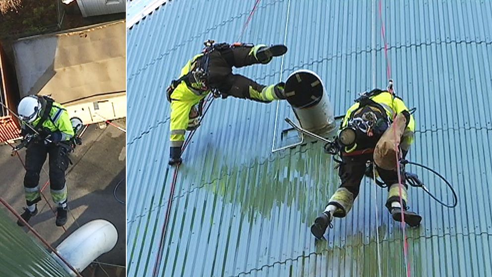Klättrarna gjorde fritidsintresset till ett heltidsjobb.