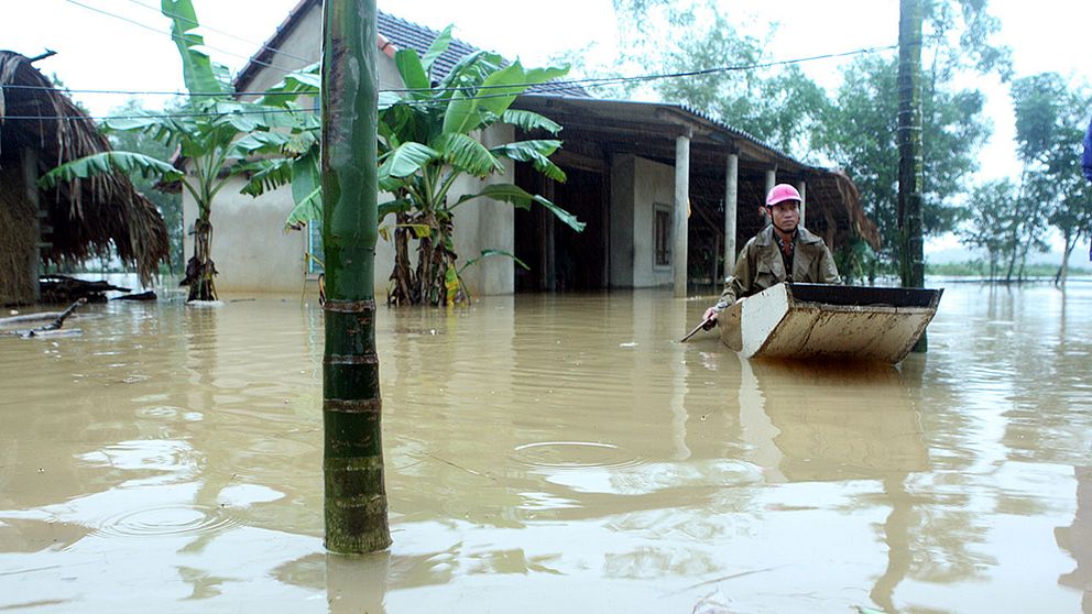 Kraftigt regn i Vietnam har krävt minst 11 människors liv och raserat tiotusentals hem.