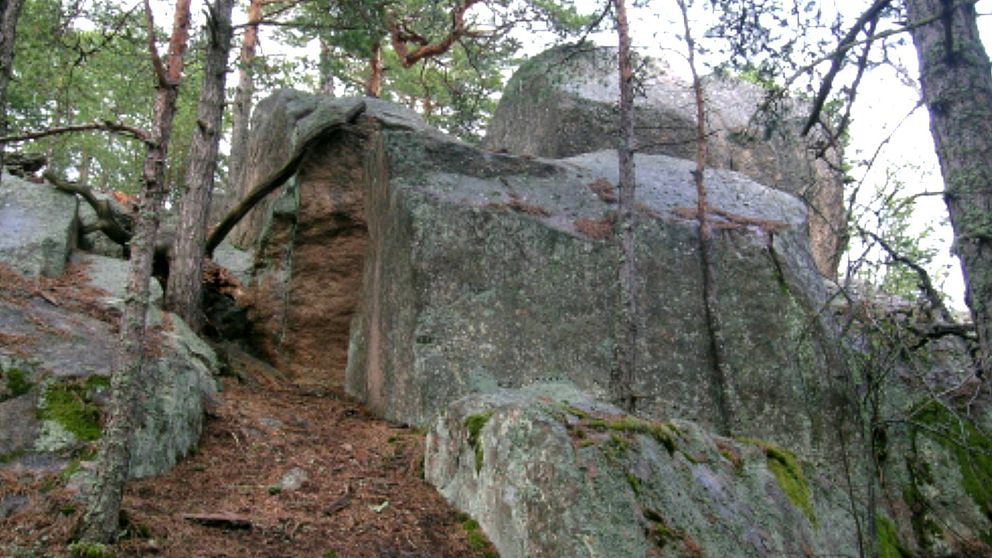 Klippa i Törnskogens naturreservat